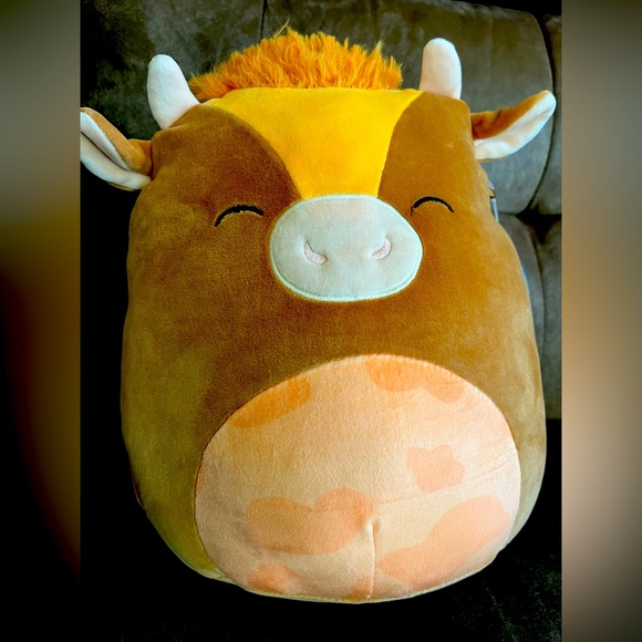 Quinick Squishmallow🧡 - Picture 1 of 4